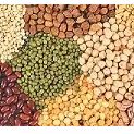Agro Feeds