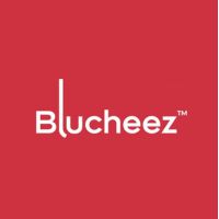 Blucheez Outlet